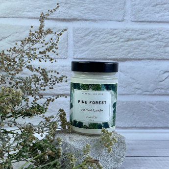 Ароматическая свеча Major Gift - Pine Forest